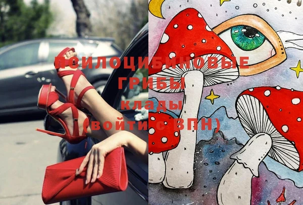 трава Алексин