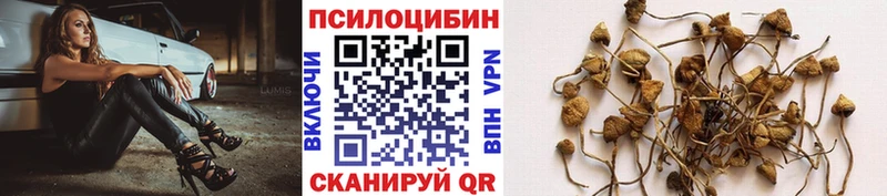 Галлюциногенные грибы ЛСД  Злынка 